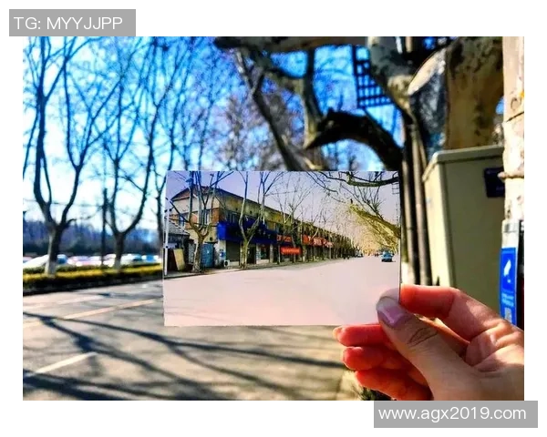 武汉排球队的华丽转身：洲际杯背后的奋斗与蜕变之路